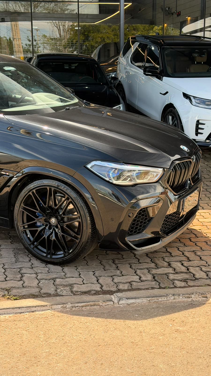Ver a foto 2 do BMW X6 M